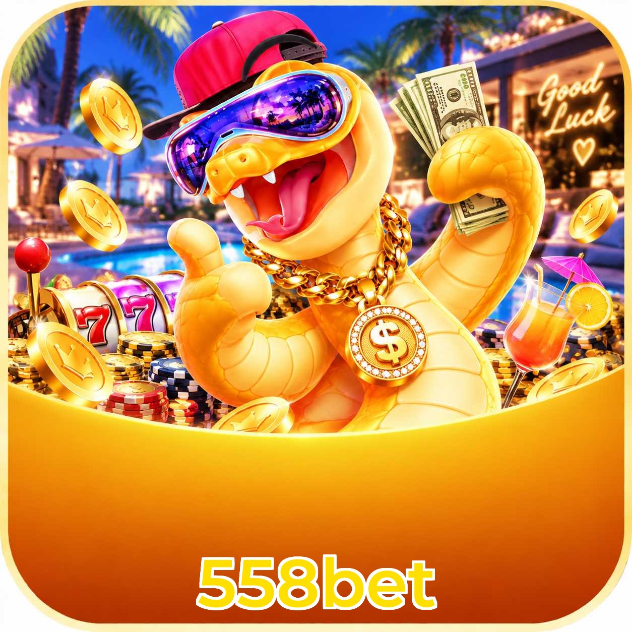 Servidor Brasil 558bet